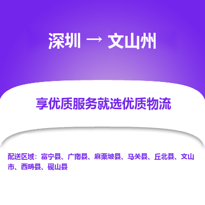 深圳到文山州貨運(yùn)站-上門提貨-一對(duì)一服務(wù)