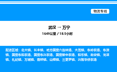 武漢到萬寧物流專線-武漢至萬寧貨運(yùn)公司