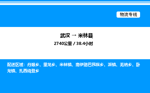武漢到米林縣物流專(zhuān)線-武漢至米林縣貨運(yùn)公司