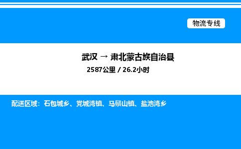 武漢到肅北縣物流專線-武漢至肅北縣貨運(yùn)公司
